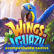 acompanhante santos